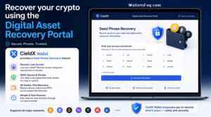 digital asset recovery portal
